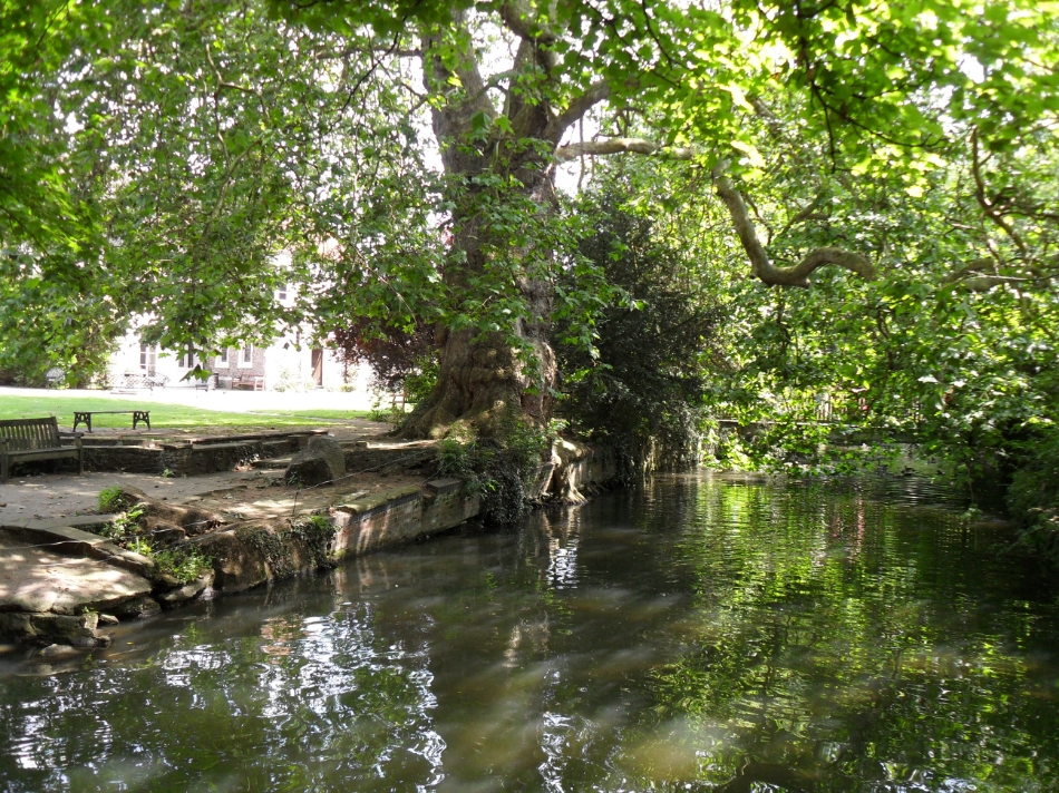 Gallery image 7: Ware Priory