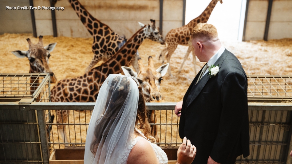 Gallery image 8: woburn-safari-park