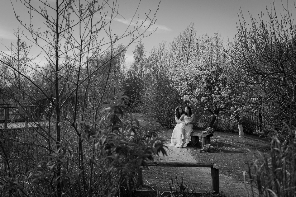 Image 5 from The Forest Centre