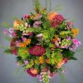 Thumbnail image 8 from Maples Flowers