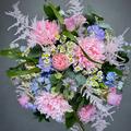 Thumbnail image 10 from Maples Flowers