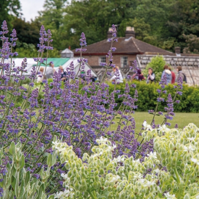 Image 4: The Conservatory at the Luton Hoo Walled Garden