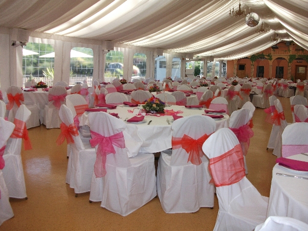 Inside the licensed marquee at Paradise Wildlife Park