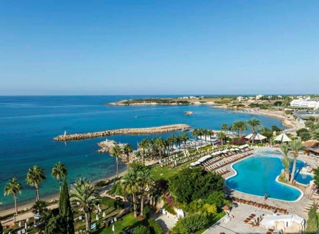 aerial views of pool and sea with palm trees and peninsula