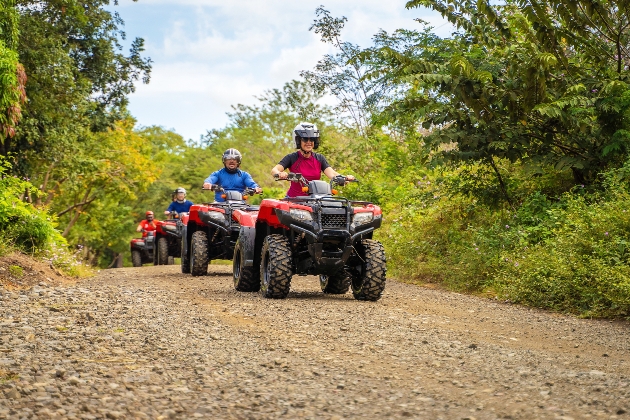 group on quad bikes through the trees