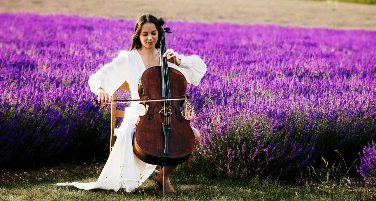 a cellist in lavender field on a chair playing in a white dress 