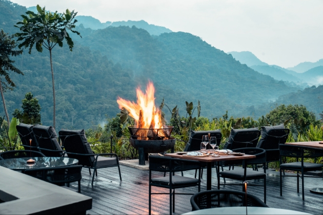 Overlooking Forest at Silverback Lodge