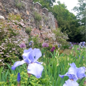 Hertford Castle