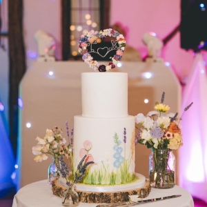 Bespoke Cakes by Nicola