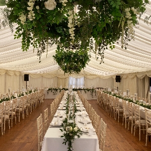 Viva Creative Flower Company Ltd