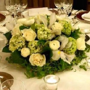 Viva Creative Flower Company Ltd