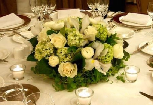 Viva Creative Flower Company Ltd