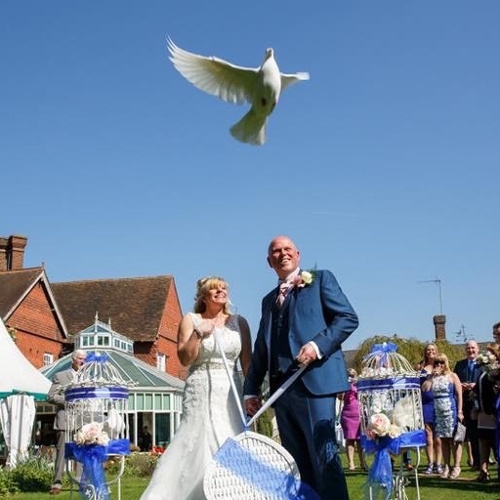 Angel Wings Dove Release