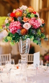 Thumbnail image 1 from Apple Blossom Flowers