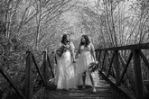 Thumbnail image 9 from Forest of Marston Vale