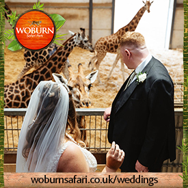 Woburn Safari Park